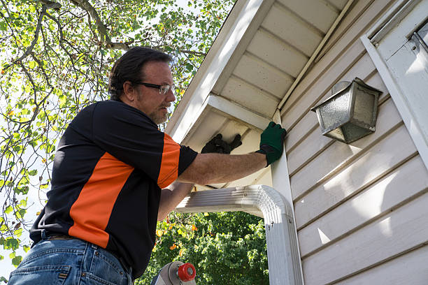 Shed Removal in Portland, TN